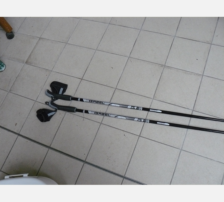Paire de bâtons de marche||GABEL S1||