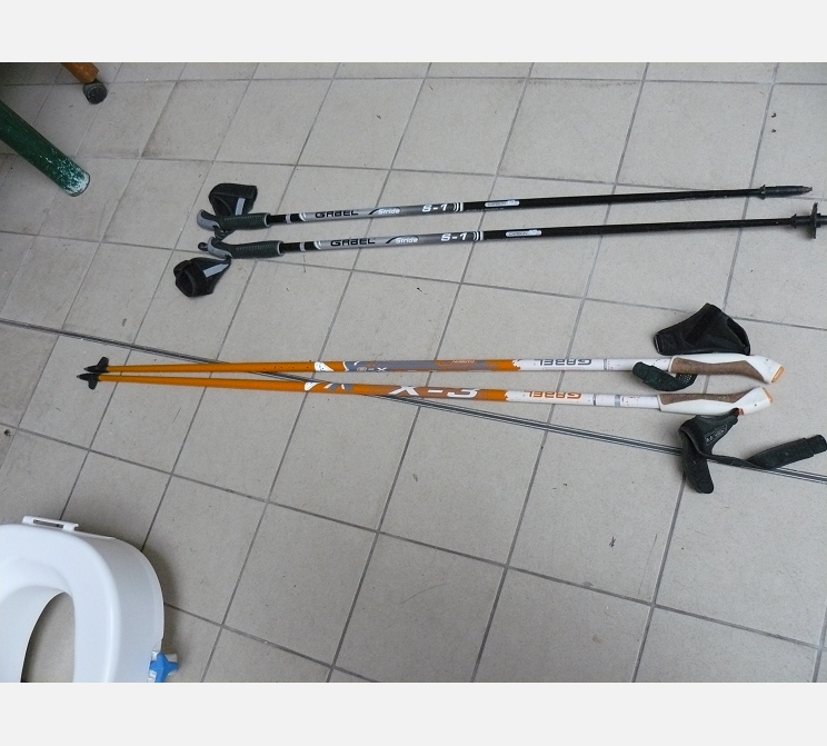 Paire de bâtons de marche||GABEL X3