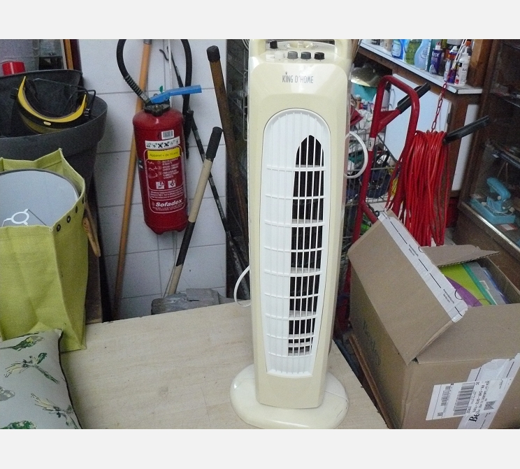 Ventilateur colonne||KING D'HOME