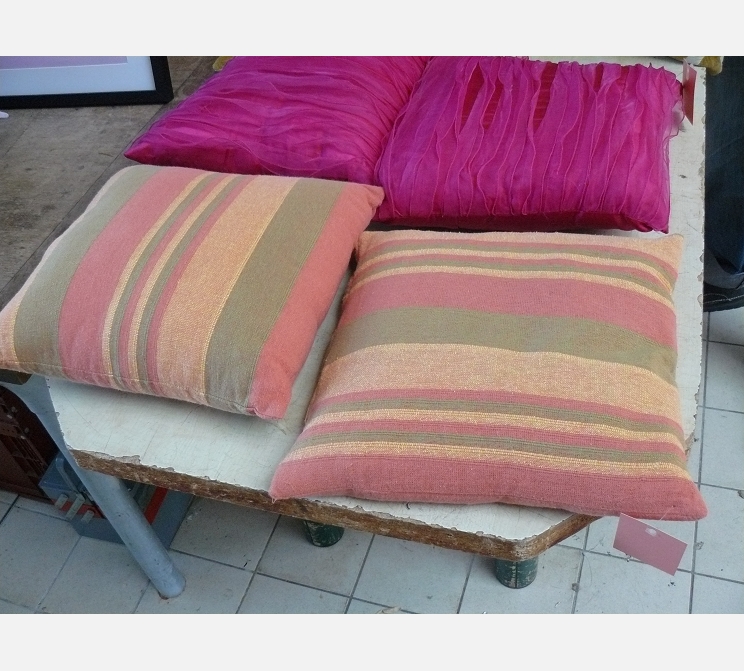 Paire de coussins
