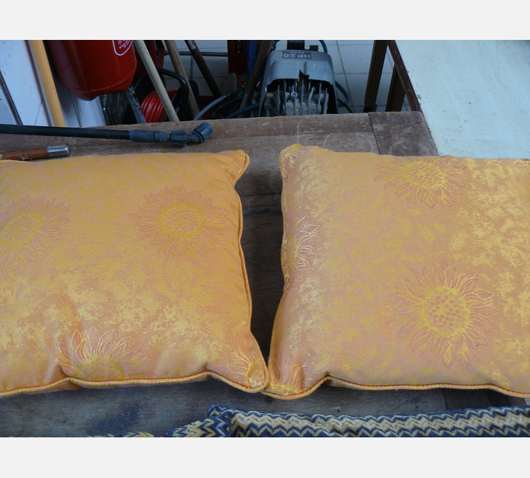 Paire de coussins or