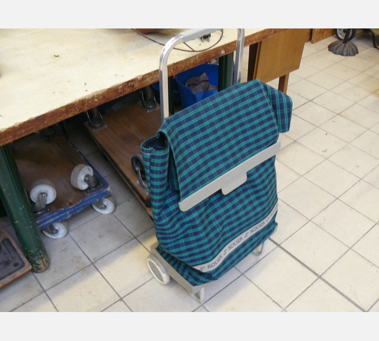 Charriot de course||vert et bleu