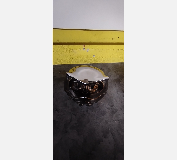 Hiboux en couleur chrome