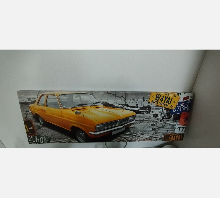 Toile tableaux carolina